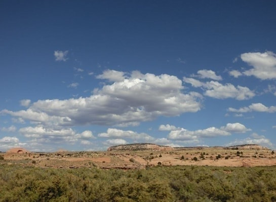 cimg5827_r.jpg