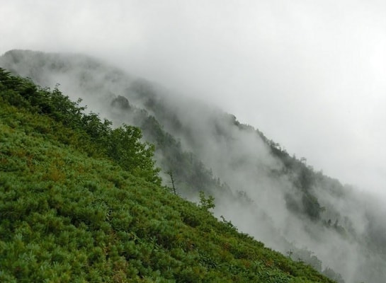 cimg0153_r.jpg