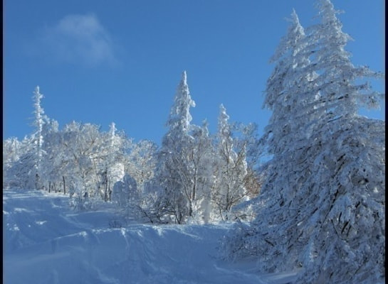 cimg0115.jpg