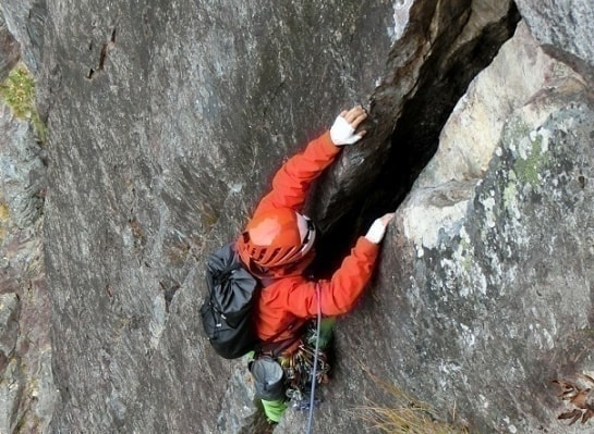 cimg8955.jpg