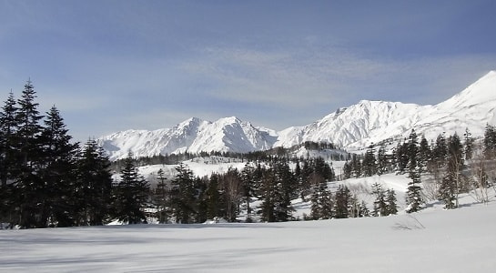 rimg0017.jpg
