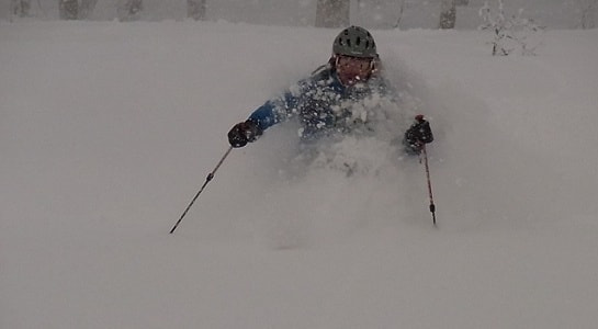 13011320youtei20288229.jpg