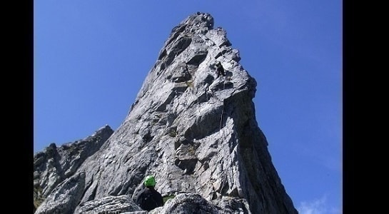 chinne2028829.jpg