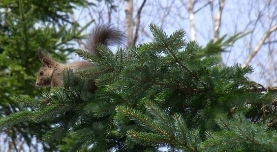 4_20200324181619833.jpg
