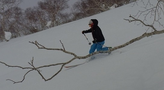 youtei2.262028229.jpg