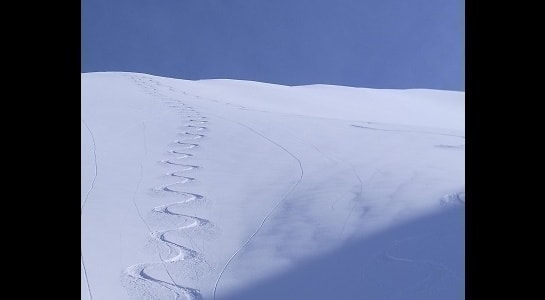 7_20200324183740399.jpg