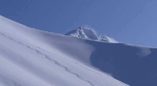 5_20200324183740389.jpg