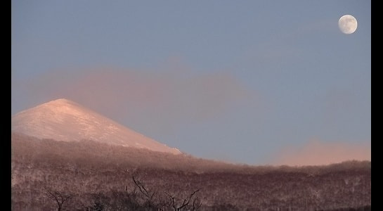 1_20200324191123504.jpg