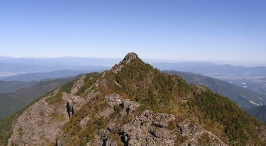 7.jpg_20200324193659087.jpg