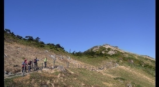 o20281029.jpg