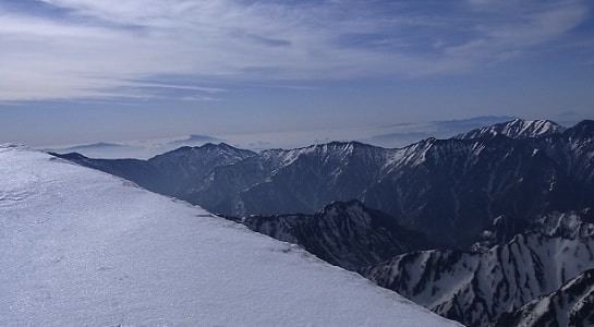 t20282529.jpg