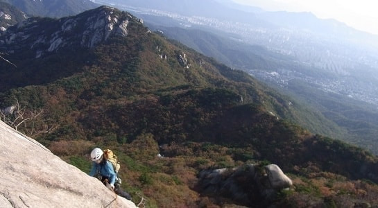 insu2028129.jpg