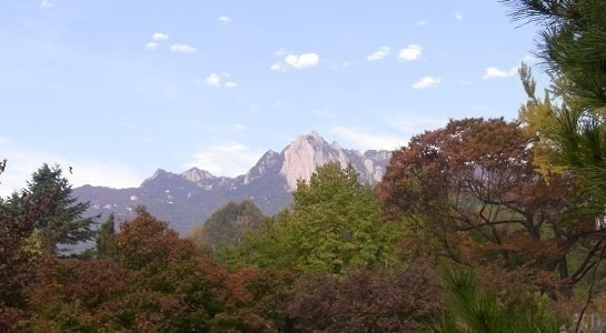 insu2028429.jpg