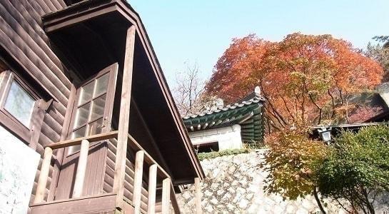 insu2028529.jpg