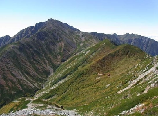 w2028829.jpg