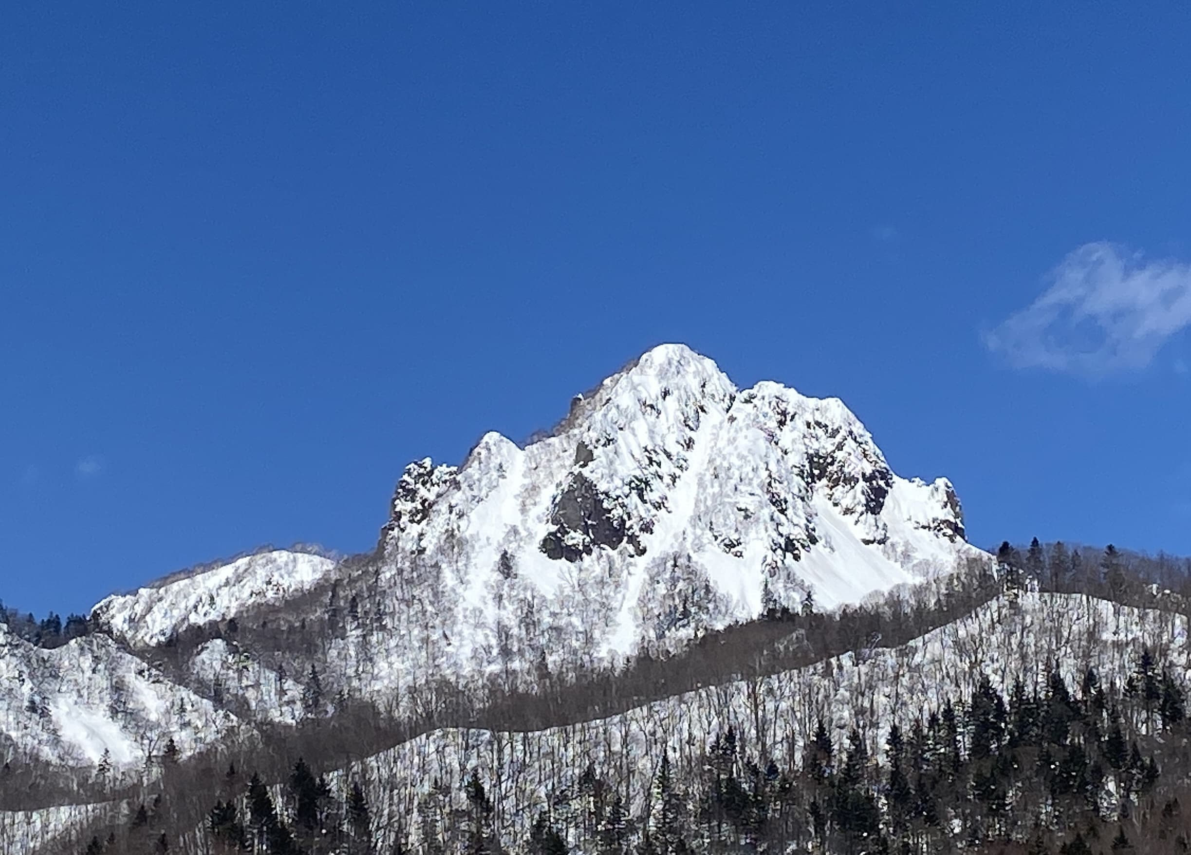 img_7546.jpg